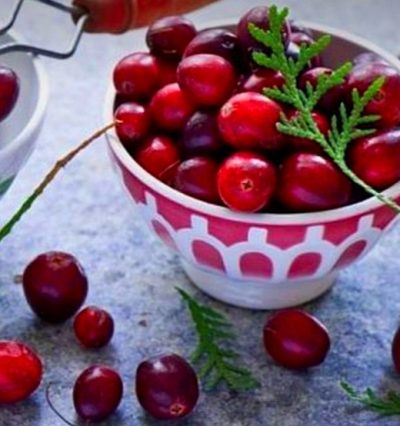 Саженцы клюквы