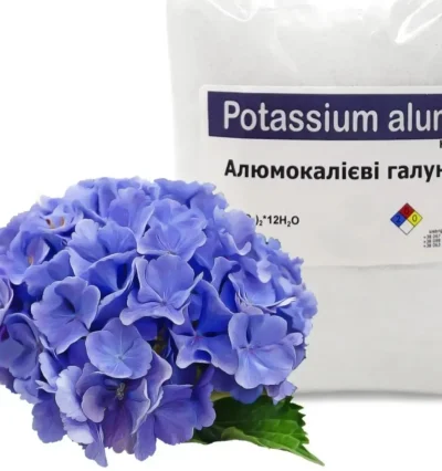 Алюмокалиевые квасцы удобрение для гортензии