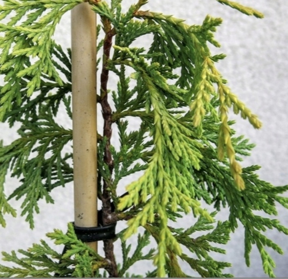 woocommerce product thumbnail